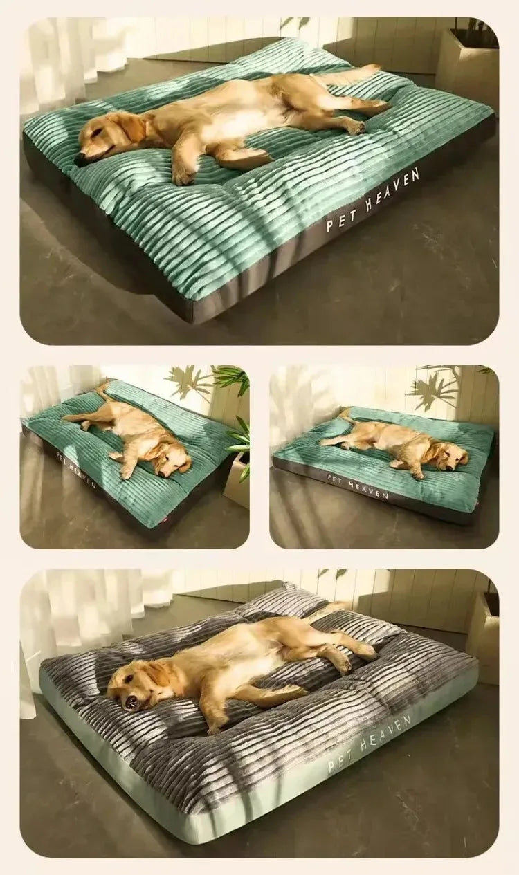 Cama para Cães Lavável - Sofá Pet com Almofada Espessa