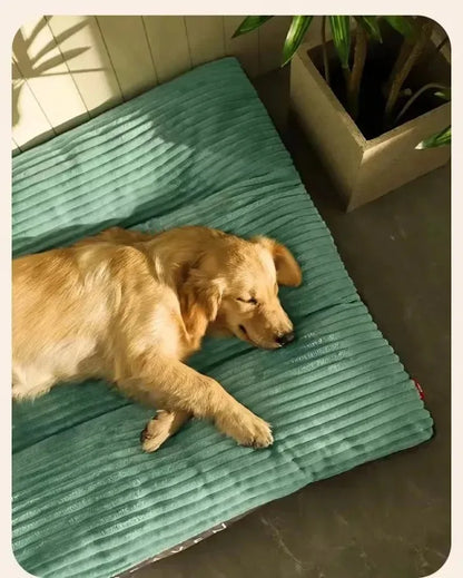 Cama para Cães Lavável - Sofá Pet com Almofada Espessa