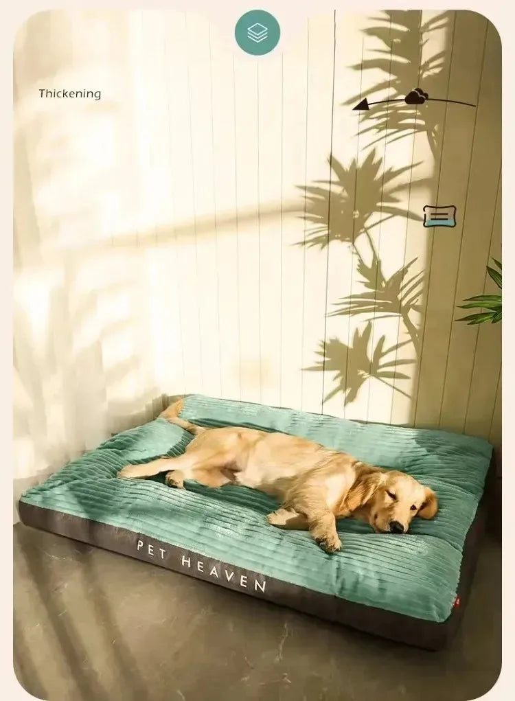 Cama para Cães Lavável - Sofá Pet com Almofada Espessa