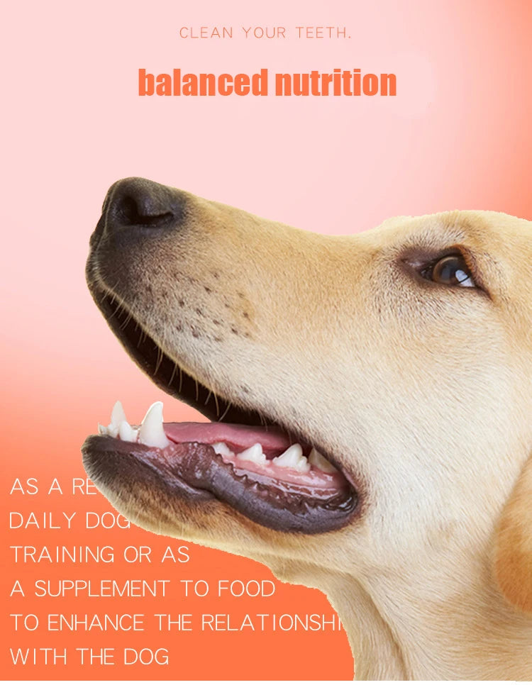 Petiscos para Cães - Recompensas para Treinamento - Bolo de Carne de Pato - Ideal para Teddy, Golden Retriever, Bago, Labrador e outros cães - Petiscos Alimentares